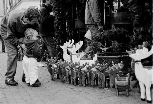 Thanksgiving weekend shoppers, large and small, admire holiday decorations displayed at Exotic Flowers, a floral shop near Quincy Market in downtown Boston. 