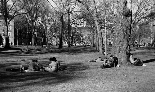 Yesterday students enjoyed the unseasonably good weather by lounging in the Yard.