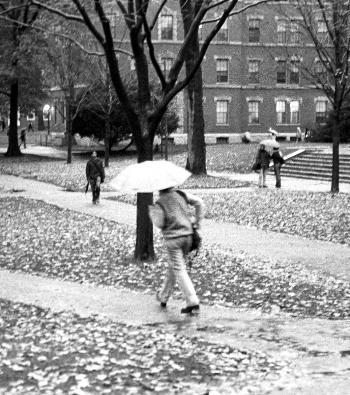 Cover image for TRAMPING THROUGH THE RAIN