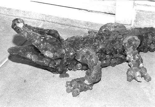 “Sticky,” a piece by Meredith E. James ’04, was displayed in the student art show in the Carpenter Center this past month. James made the green hard candy alligator in VES 30, “Sculpture I: Introductory Studio Course.”