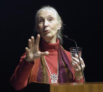 Primatologist JANE GOODALL addresses an audience at the New England Aquarium’s IMAX Theatre last night after receiving the 2003 Global Environmental Citizen Award.