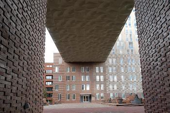 Cover image for  