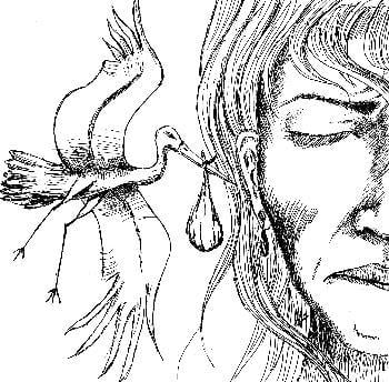 Cover image for Fighting for a Basic Right
