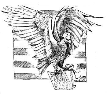 Cover image for  