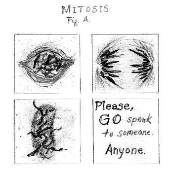 Cover image for