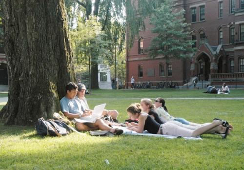 Summer school students brush up on their coursework while catching a few afternoon rays in Harvard Yard outside Matthews Hall on Wednesday.