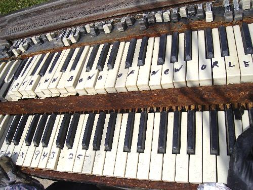 On this old keyboard are written the words “Katrina Band of New Orleans.” The gloves of a toy gorilla play the keys.
