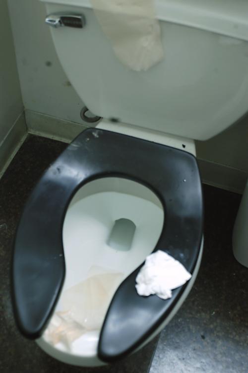 Dirty toilets may be gross, but  researchers say they aren’t deadly.
