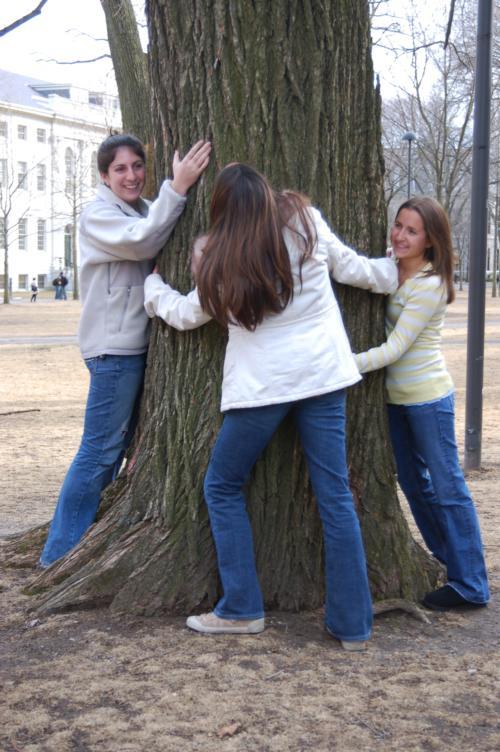 Take that, trees!