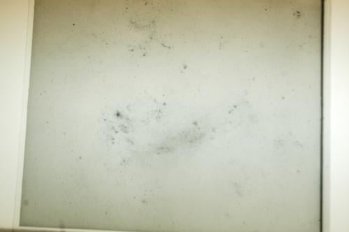 One of the decades-old plates, which will become "public information" upon the conclusion of the project.