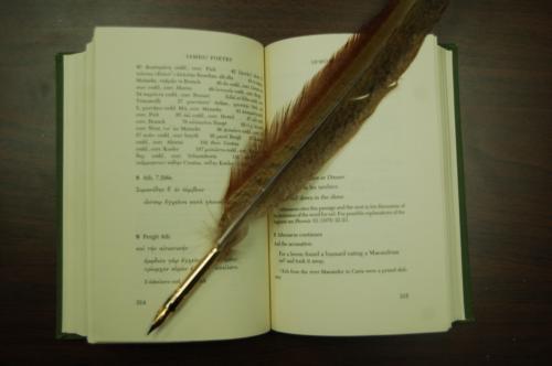 Next time you’re at the Delphic, don’t just quote Shakespeare; sweep the floor with this pen.