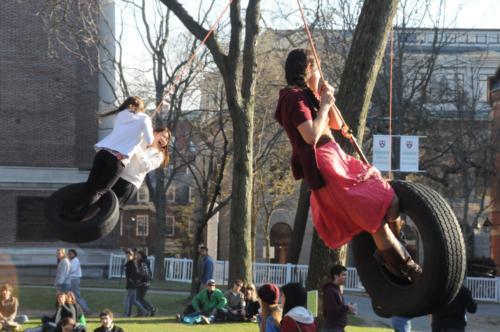 The College Events Board, which organizes the annual event, set up tire swings throughout Harvard Yard. They proved to be popular with students both before and during the concert. 