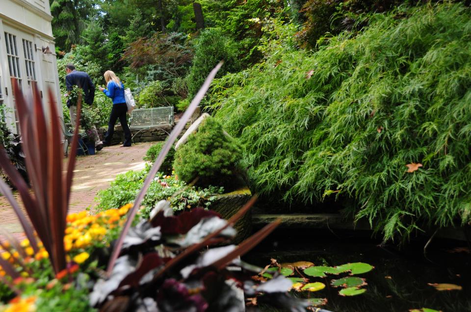 Mankiw's yard boasts a tropical oasis in the middle of quaint suburban Massachusetts.