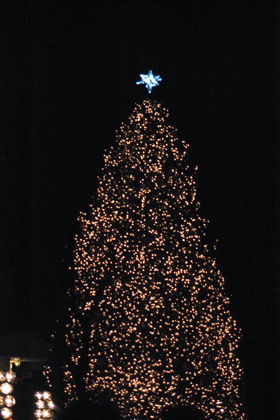 At 5:30 pm, Mayor Thomas Menino leads the countdown to lighting the Faneuil Hall tree, a 87 foot tall Norwegian spruce, the largest holiday tree in New England.