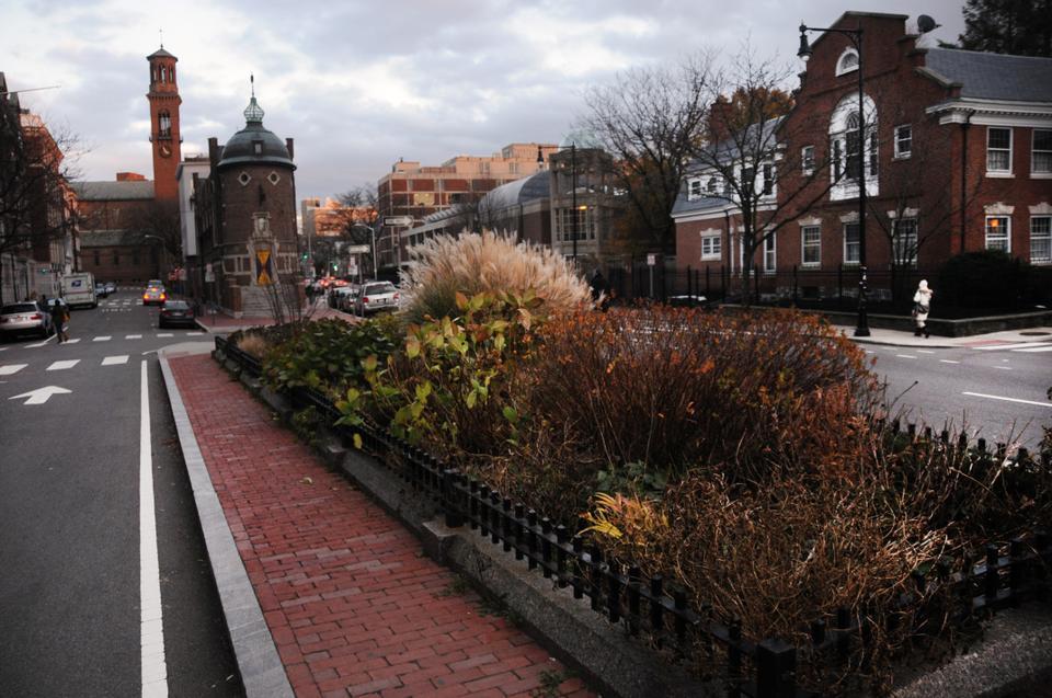 If the Cambridge City Council approves the proposal of former Mayor Francis H. Duehay ’55, the currently unnamed, triangular enclosed area located on the median at the intersection of Linden and Mount Auburn Streets will be named to commemorate journalist David L. Halberstam ’55.