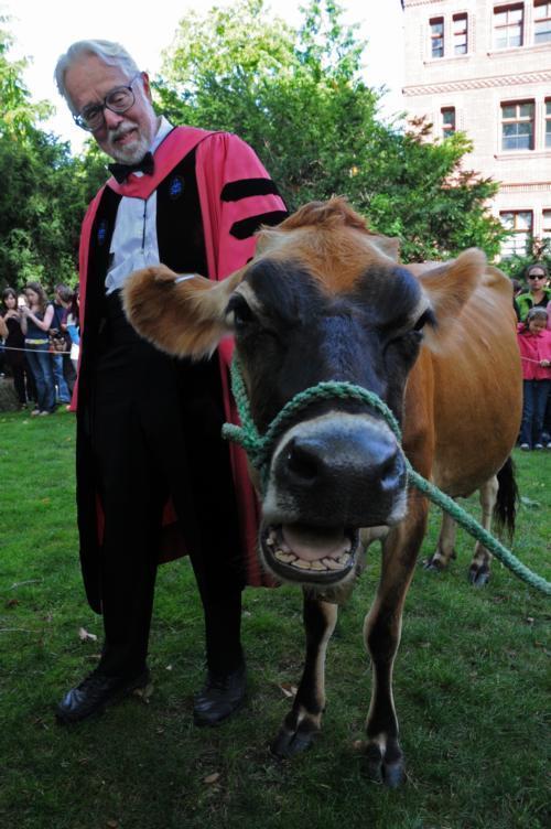 Original Publication Date: September 17, 2009

Harvey G. Cox Jr. celebrates his retirement by exercising his right as the Hollis Research Professor of Divinity to graze his cows in Harvard Yard. A band of tubas dubbed “Udderly Tuba” played “Old McDonald” as they led Cox and the cow to the Divinity School.