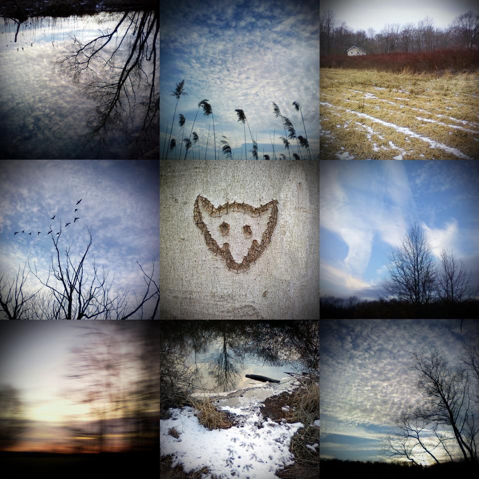 Crimson photographer Meredith H. Keffer '12 captures images of the Loantaka Brook Reservation in Morris County, NJ, with a Samsung Alias 2 cell phone.