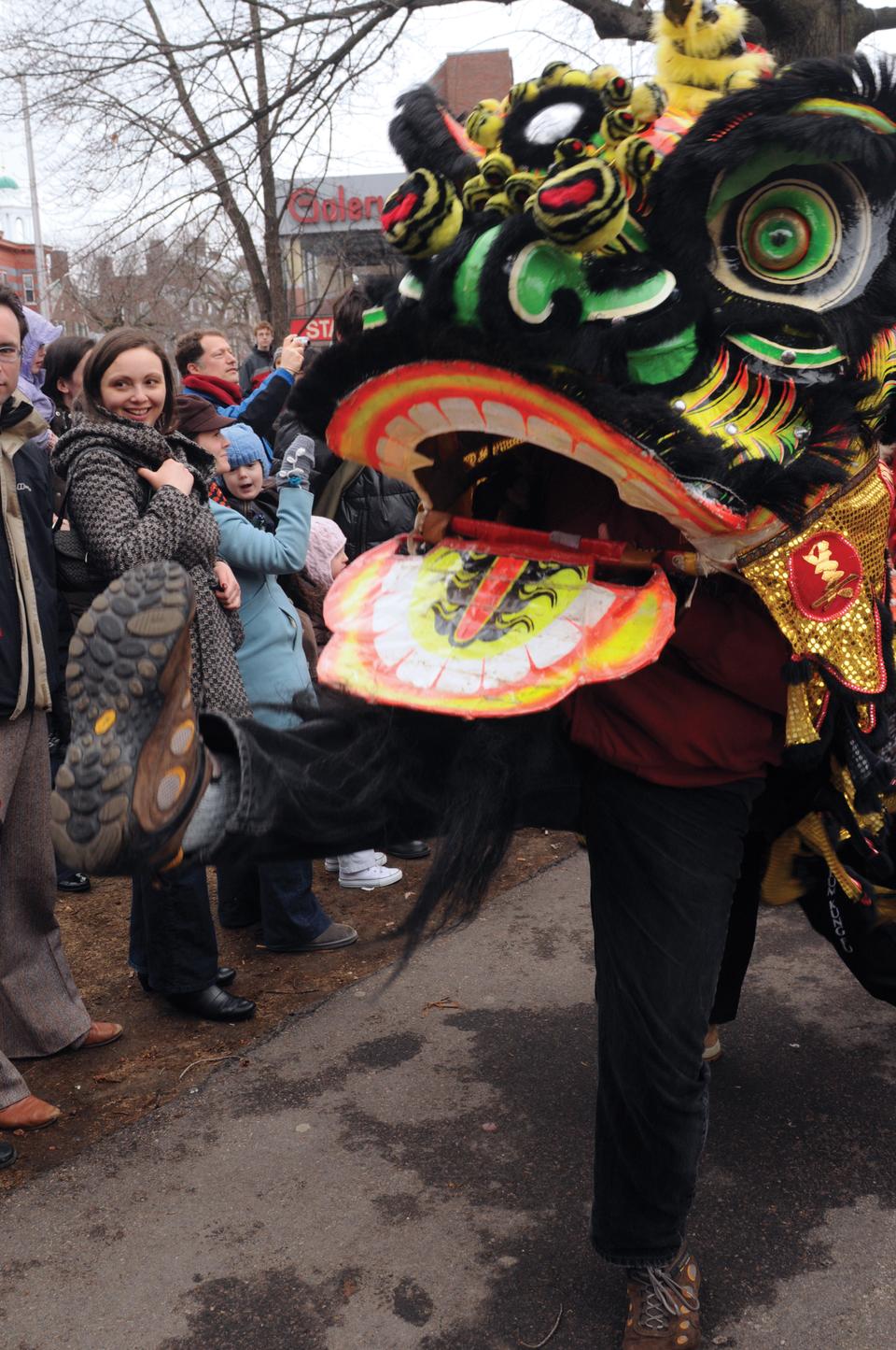 A man in costume performed in the Lion Dance Parade yesterday as part of the Chinese New Year Celebration in Harvard Square.