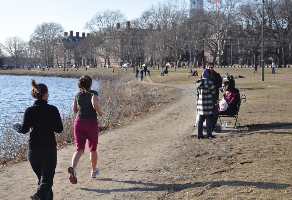 Harvard students and Cambridge residents flew kites, jogged, lounged, and otherwise enjoyed the unusually warm fifty degree weather by the Charles River yesterday, Sunday, March 7, 2010.