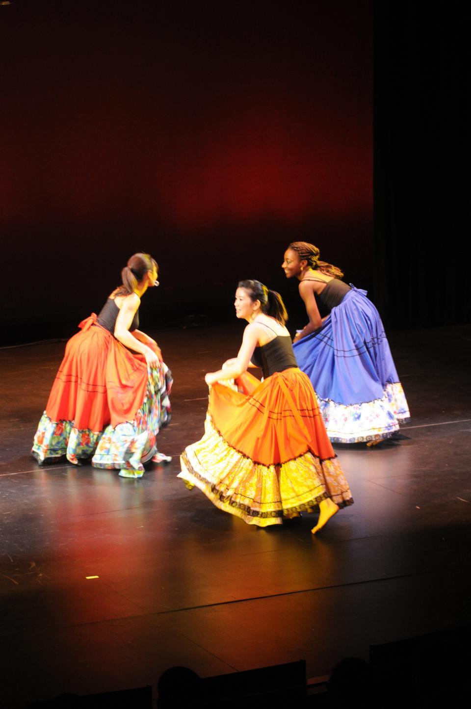 Students and various artistic groups perform at Africa Night 2010: An African Odyssey in New College Theater