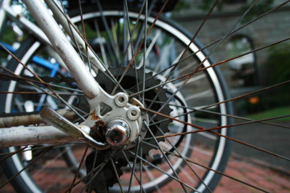 Bicycles are a convenient and easy mode of    transportation around campus.

