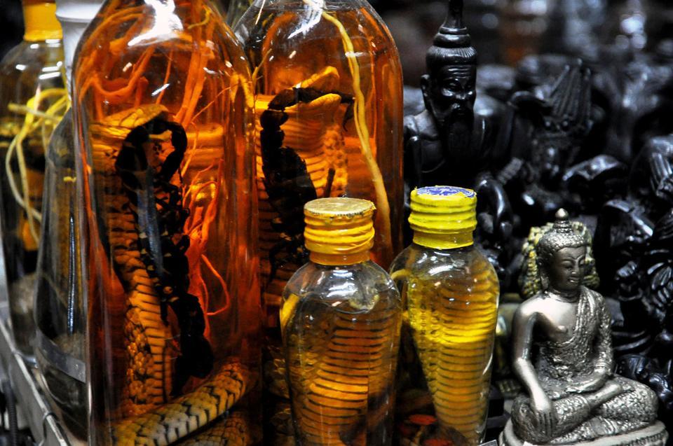 At one booth of the Russian Market, the owner sells two types of goods: religious statues and snake potions. Most of the religious sculptures depict Buddha, usually created with either a metal or wood material (painted black). The snake potions are bought usually by men who want to strengthen their sexual functions. 