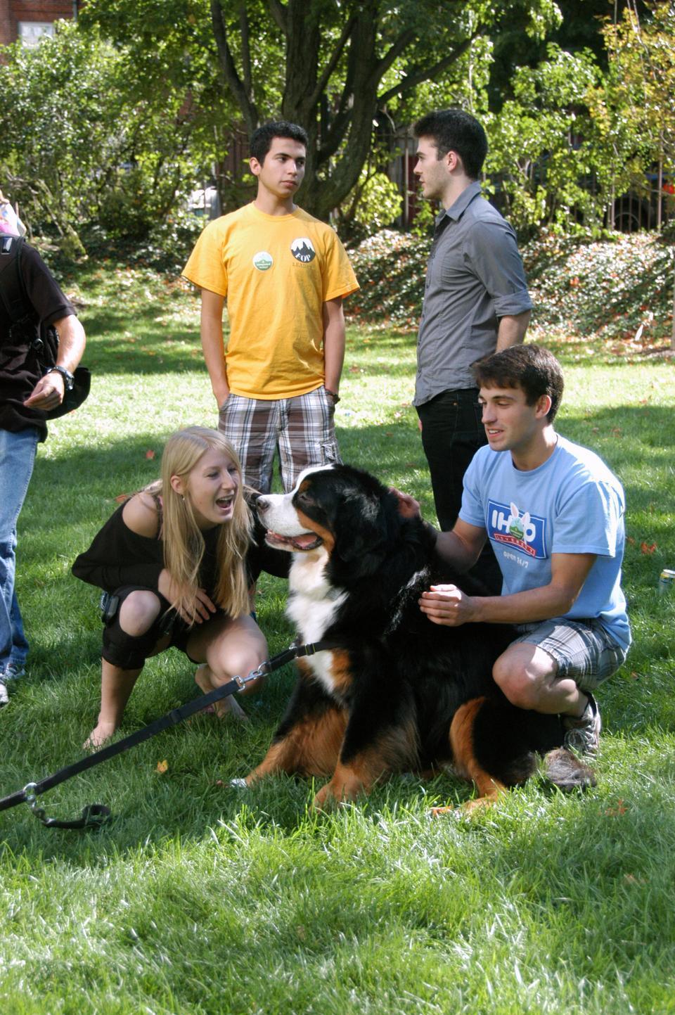 Leverett residents enjoy Fall Fest, an afternoon of food and games,  last Saturday in Leverett courtyard along with Tinkerbell, a House dog.