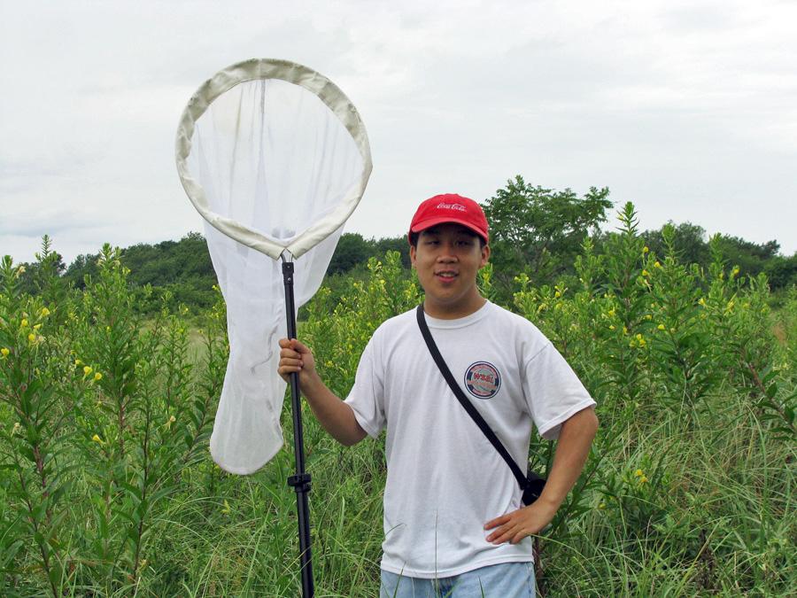Jeremy L. Hsu '11, pictured collecting butterflies on the Boston Harbor Islands in the summer of 2009, conducts research on the genetics of migratory behaviors in the monarch butterfly. 