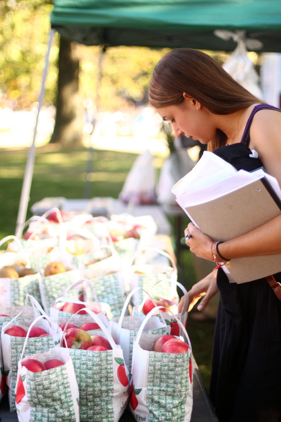 Shoppers peruse the offerings at the weekly Allston and Harvard Farmers' Market.