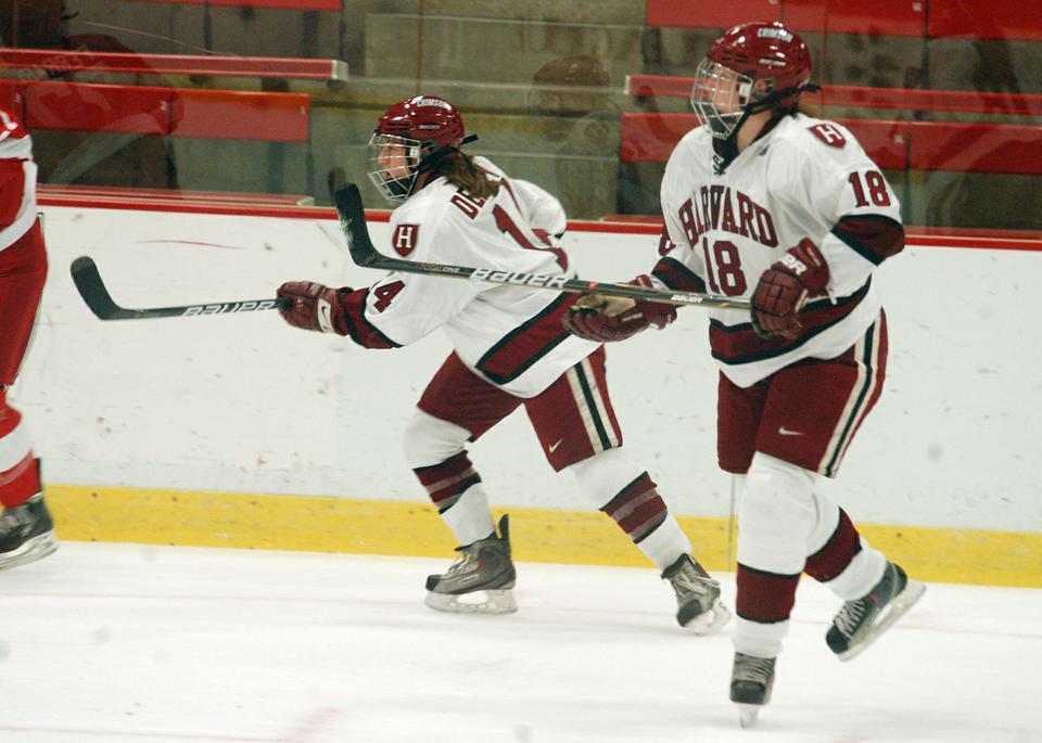 Freshman Lyndsey Fry and her six classmates hope to make an immediate impact on the women's hockey team.