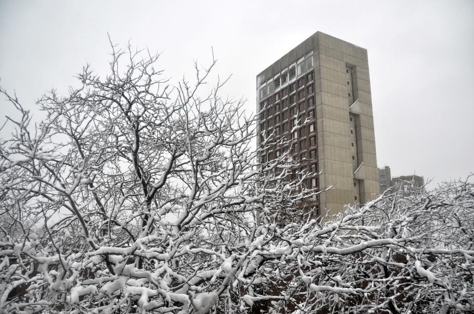 Blizzard conditions Wednesday led to the accumulation of over a foot of snow in Cambridge.