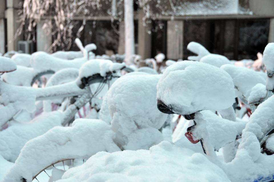 Blizzard conditions Wednesday led to the accumulation of over a foot of snow in Cambridge.