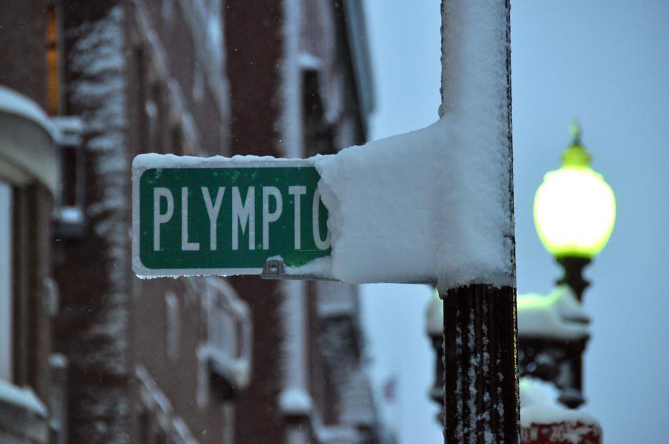 Blizzard conditions Wednesday led to the accumulation of over a foot of snow in Cambridge.