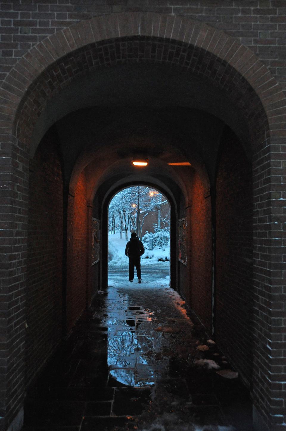 Blizzard conditions Wednesday led to the accumulation of over a foot of snow in Cambridge.