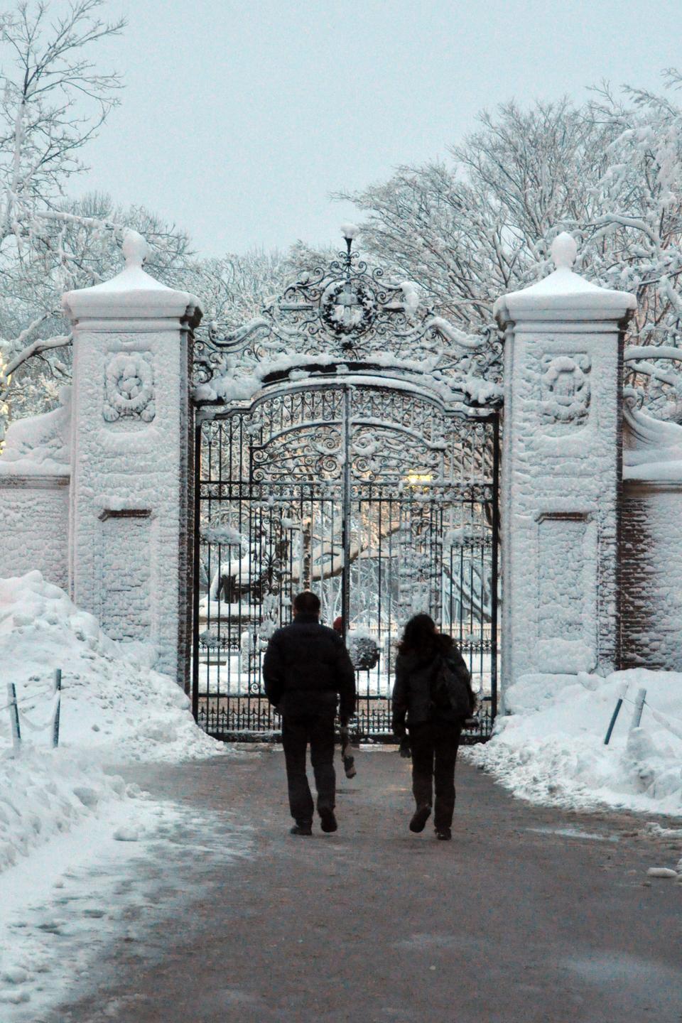 Blizzard conditions Wednesday led to the accumulation of over a foot of snow in Cambridge.