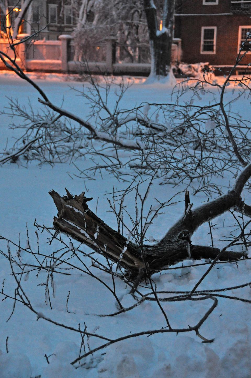 Blizzard conditions Wednesday led to the accumulation of over a foot of snow in Cambridge.