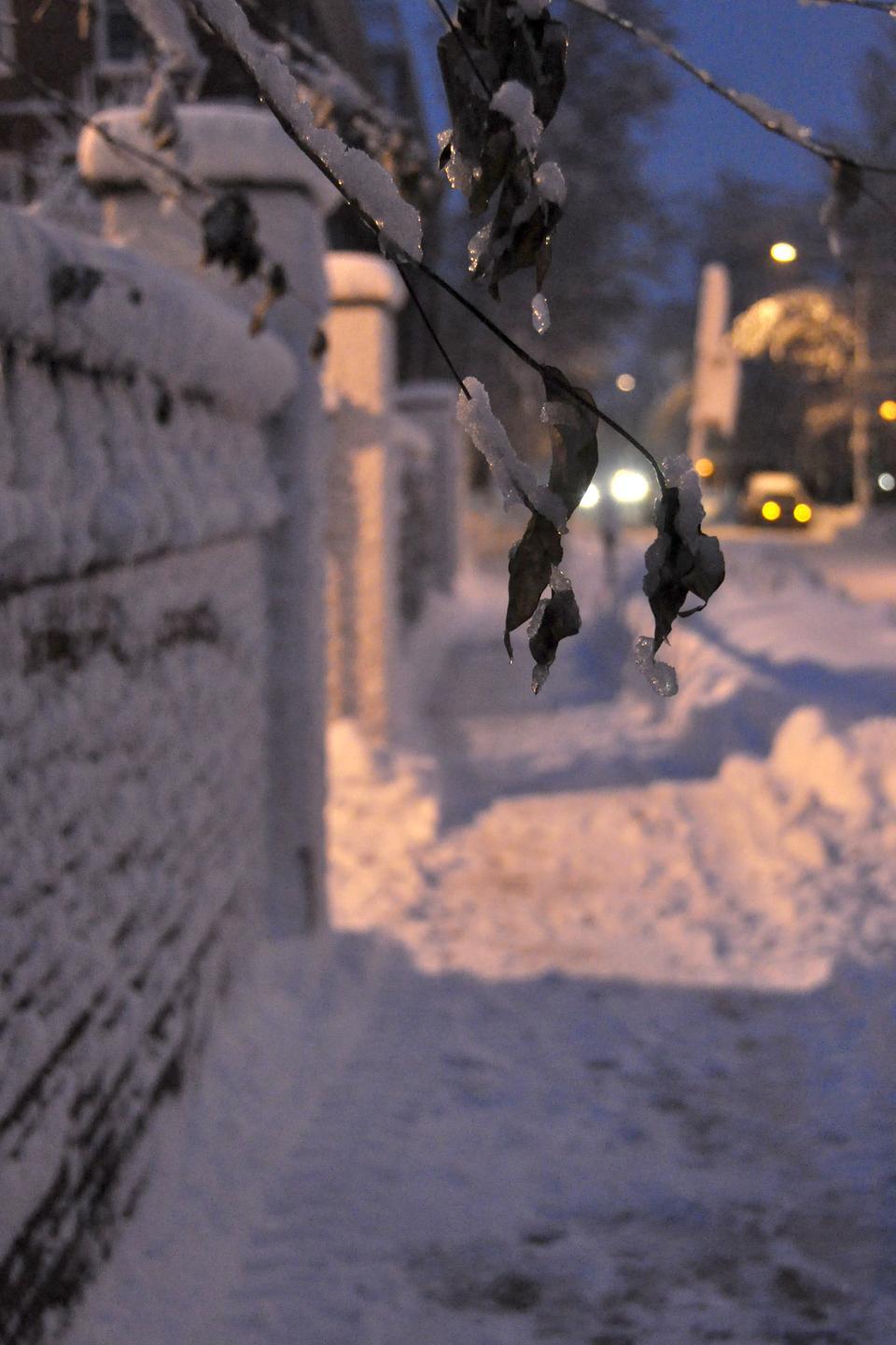Blizzard conditions Wednesday led to the accumulation of over a foot of snow in Cambridge.