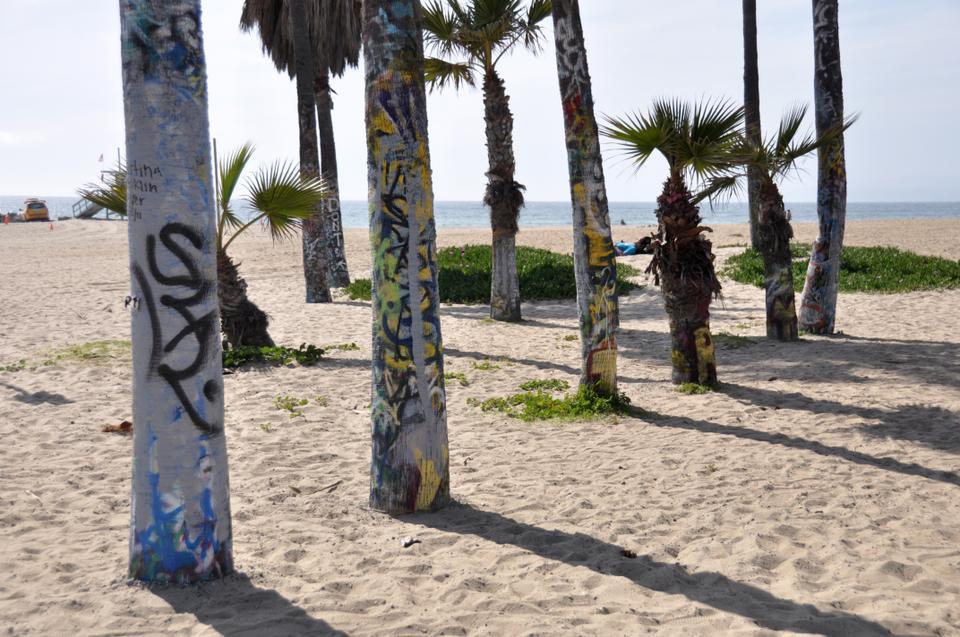 Even the trees, which stand just a few paces away from the graffiti wall, are spray painted by graffiti artists.  The graffiti artists in Venice Beach use virtually any medium available to them.
