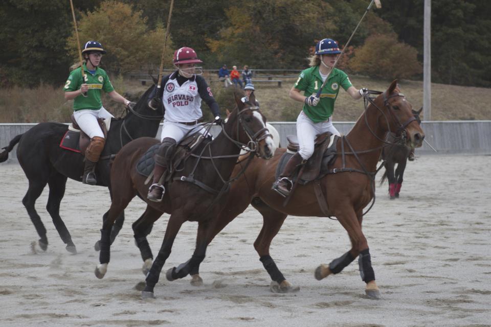 Harvard women’s polo captain Samantha Drago, pictured above, has notched 39 goals this season. Like most members of the polo club, Drago had never played the sport until she arrived at Harvard. But under the guidance of Harvard’s husband-wife coaching duo, Drago quickly picked up the sport.