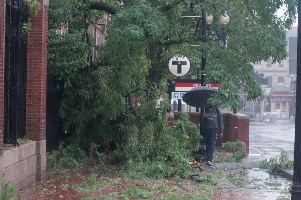 Several fallen branches block the entrance to the Harvard Square T stop outside the Johnston gate.  All MBTA service was suspended Sunday due to the storm.
