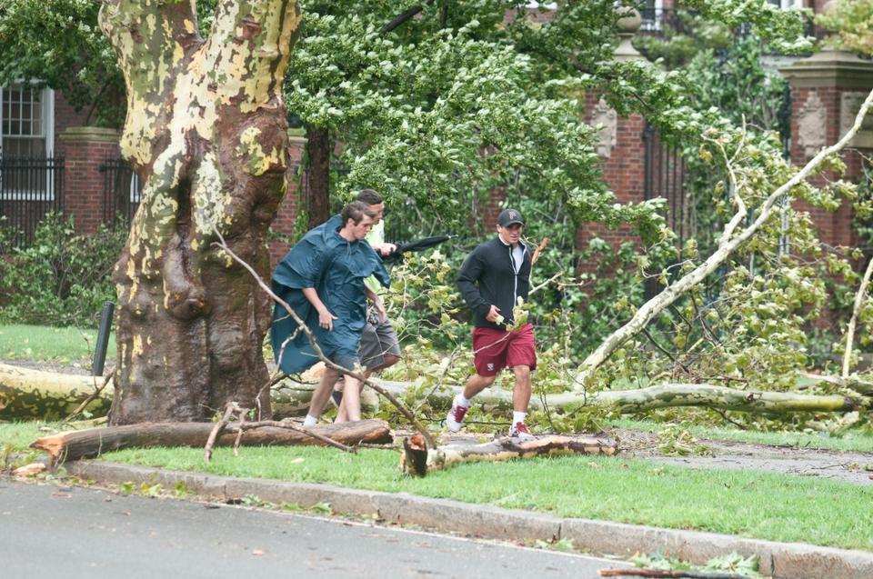 Large downed branches block sections of Memorial Drive outside of Winthrop House following Tropical Storm Irene, which previously was a hurricane that caused much concern.