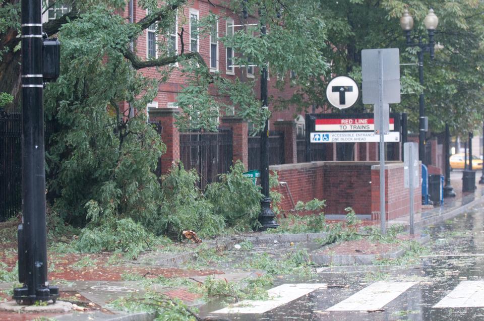A branch falls outside Johnston Gate by the T stop due to Tropical Storm Irene.