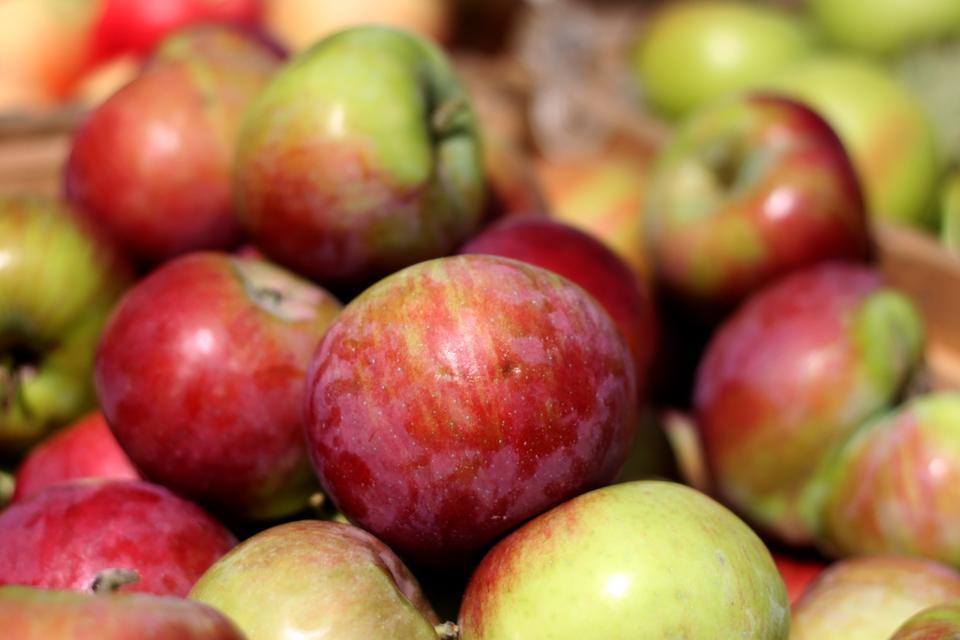 The Charles Square Farmers Market featured these Cortland apples from Kimball Fruit Farm in Pepperell, MA. They're perfect for baking.