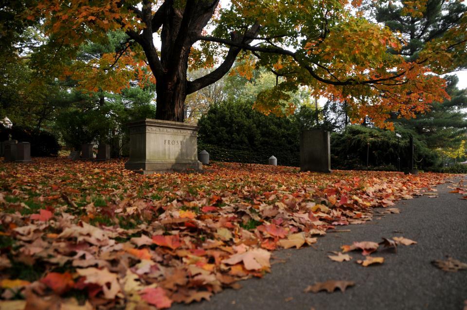 Fall foliage is at its chromatic peak in Mt. Auburn Cemetery, as red, orange, and yellow leaves litter the graves and monuments.