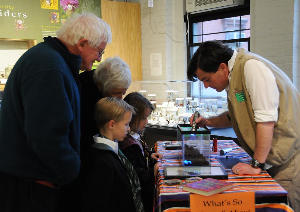 The Harvard Museum of Natural History hosts a special Halloween event on Saturday. Volunteer Matt Simon teaches a family about fluorescent scorpions in the "What's so Scary about Spiders?" exhibit.