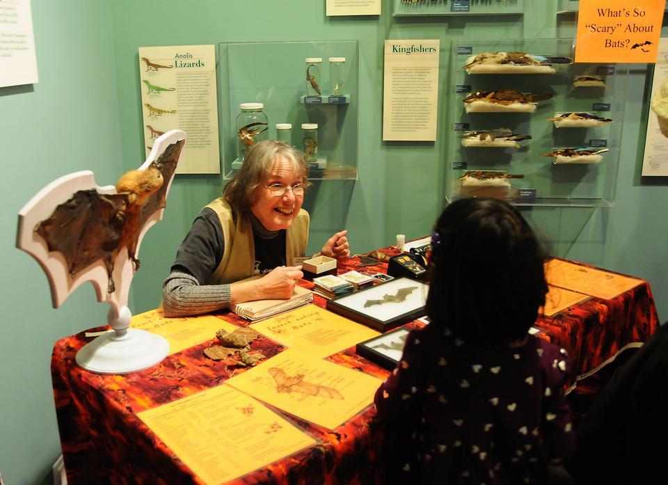 The Harvard Museum of Natural History hosts a special Halloween event on Saturday. Gallery Guide Dorothy Barr teaches guest about bats in the "What's so Scary about Bats?" exhibit.