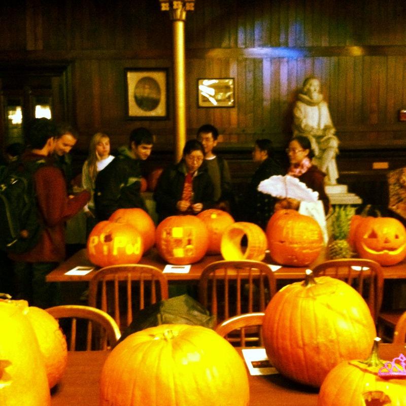 Freshmen view the pumpkins on display.