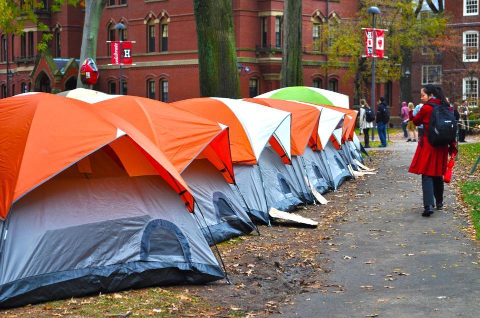 A student reads the cardboard protest sign proclaiming “HARVARD IS THE 99%” as she walks by. The Occupy Harvard movement is beginning to attract more bystander attention.