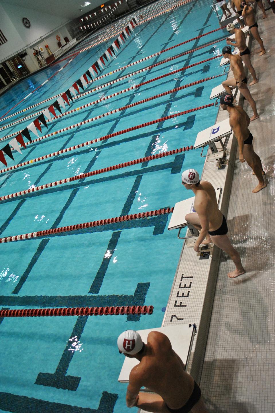 A Dartmouth swimmer watches as Harvard men's swimming team defeats Cornell and Dartmouth on Saturday, with star performances by sophomores and freshmen.