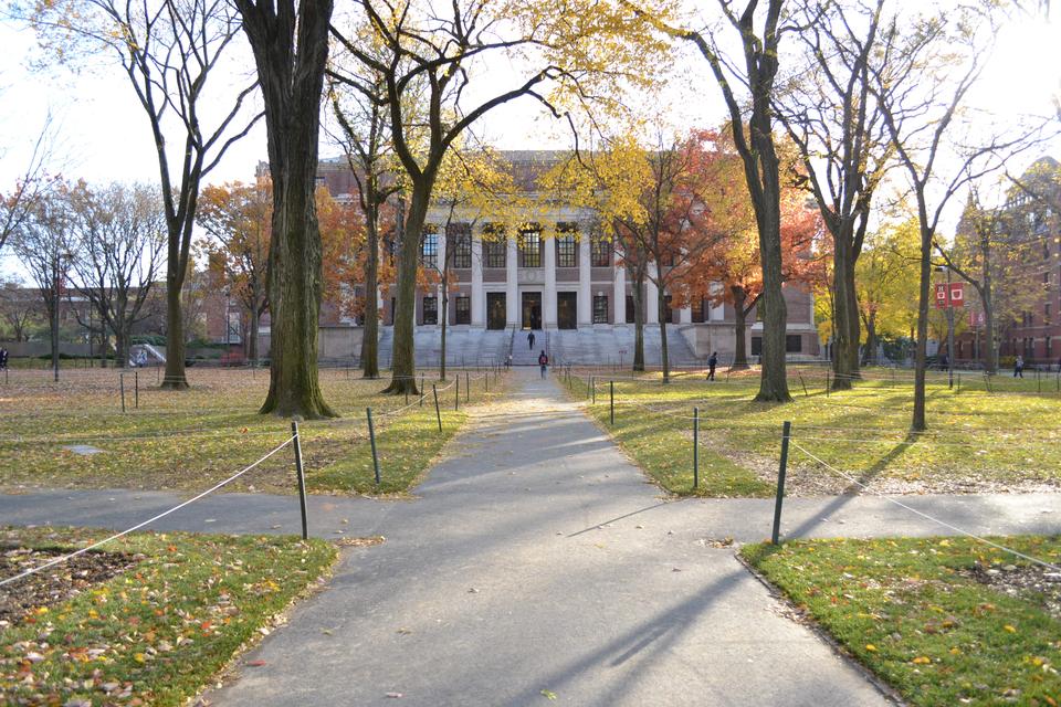 Tercentenary Theatre is usually a bustling and popular area for tourists, but with the increased security due to Occupy Harvard, the only people visiting Widener Library are students.